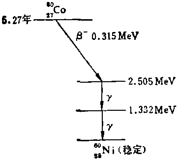 衰变纲图